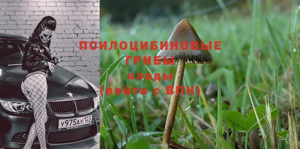 гашик Алексеевка