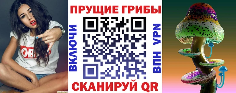 Псилоцибиновые грибы прущие грибы  Обнинск 